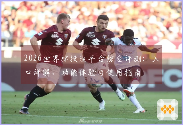 2026世界杯投注平台综合评测：入口详解、功能体验与使用指南