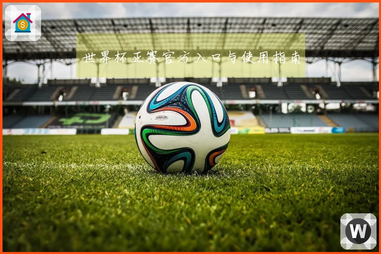 世界杯正赛官方入口与使用指南