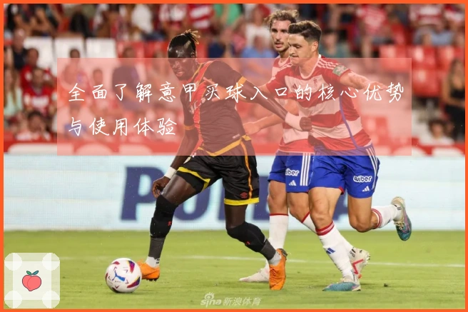 全面了解意甲买球入口的核心优势与使用体验