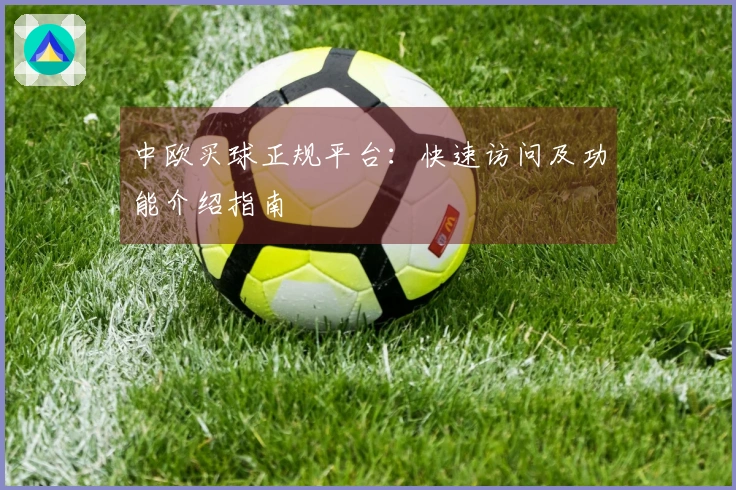 中欧买球正规平台：快速访问及功能介绍指南