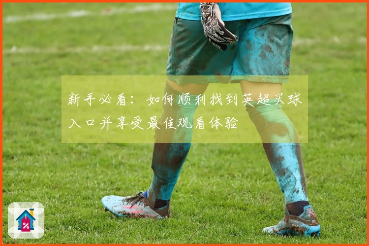 新手必看:如何顺利找到英超买球入口并享受最佳观看体验