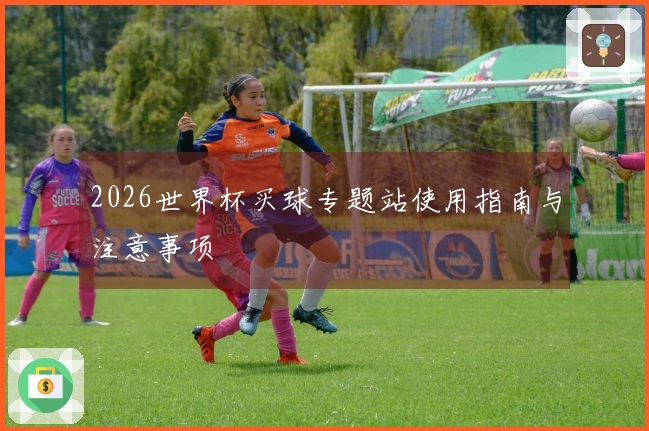 2026世界杯买球专题站使用指南与注意事项
