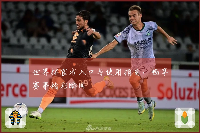 世界杯官方入口与使用指南，畅享赛事精彩瞬间