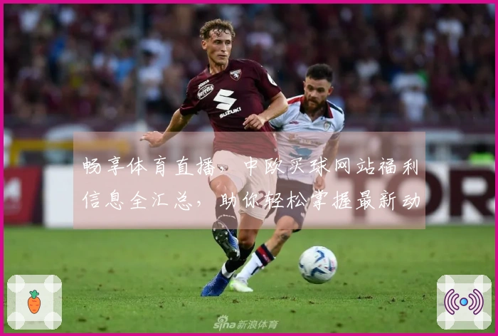 畅享体育直播，中欧买球网站福利信息全汇总，助你轻松掌握最新动态