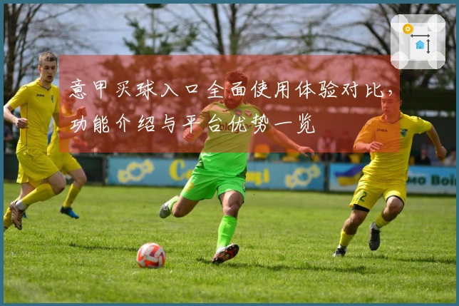 意甲买球入口全面使用体验对比，功能介绍与平台优势一览