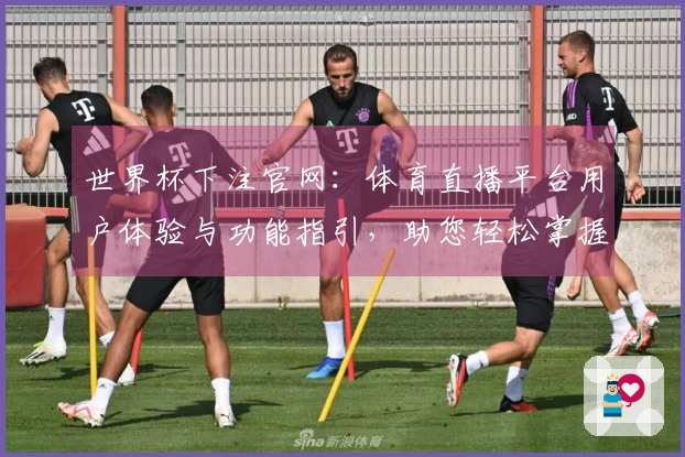 世界杯下注官网：体育直播平台用户体验与功能指引，助您轻松掌握赛事精彩