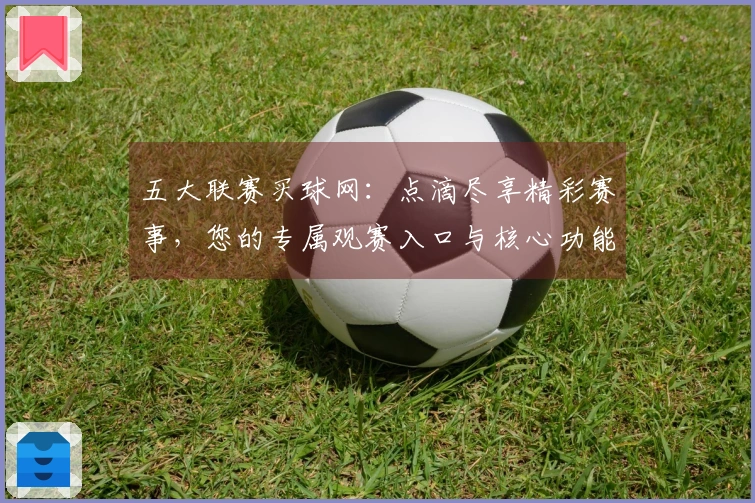 五大联赛买球网：点滴尽享精彩赛事，您的专属观赛入口与核心功能全掌握